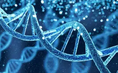The Role of Genetics in Substance Abuse